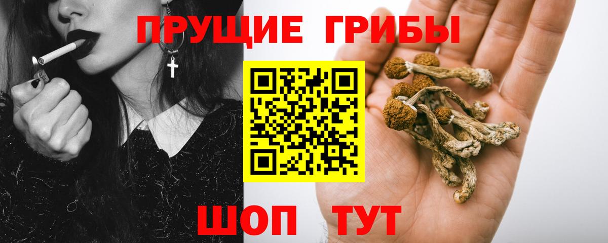 Псилоцибиновые грибы ЛСД Балашиха